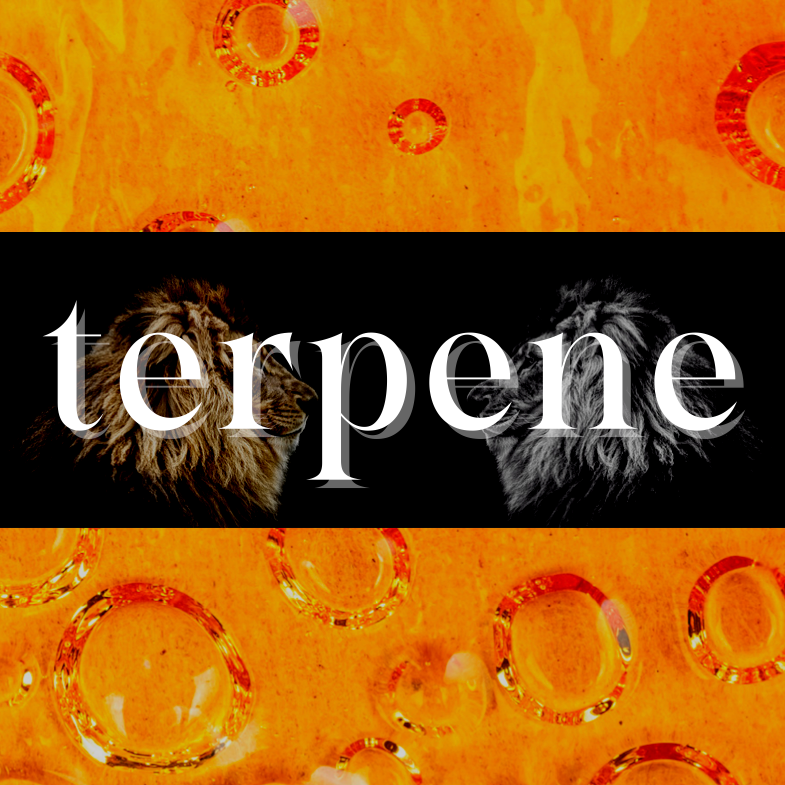 TERPEN