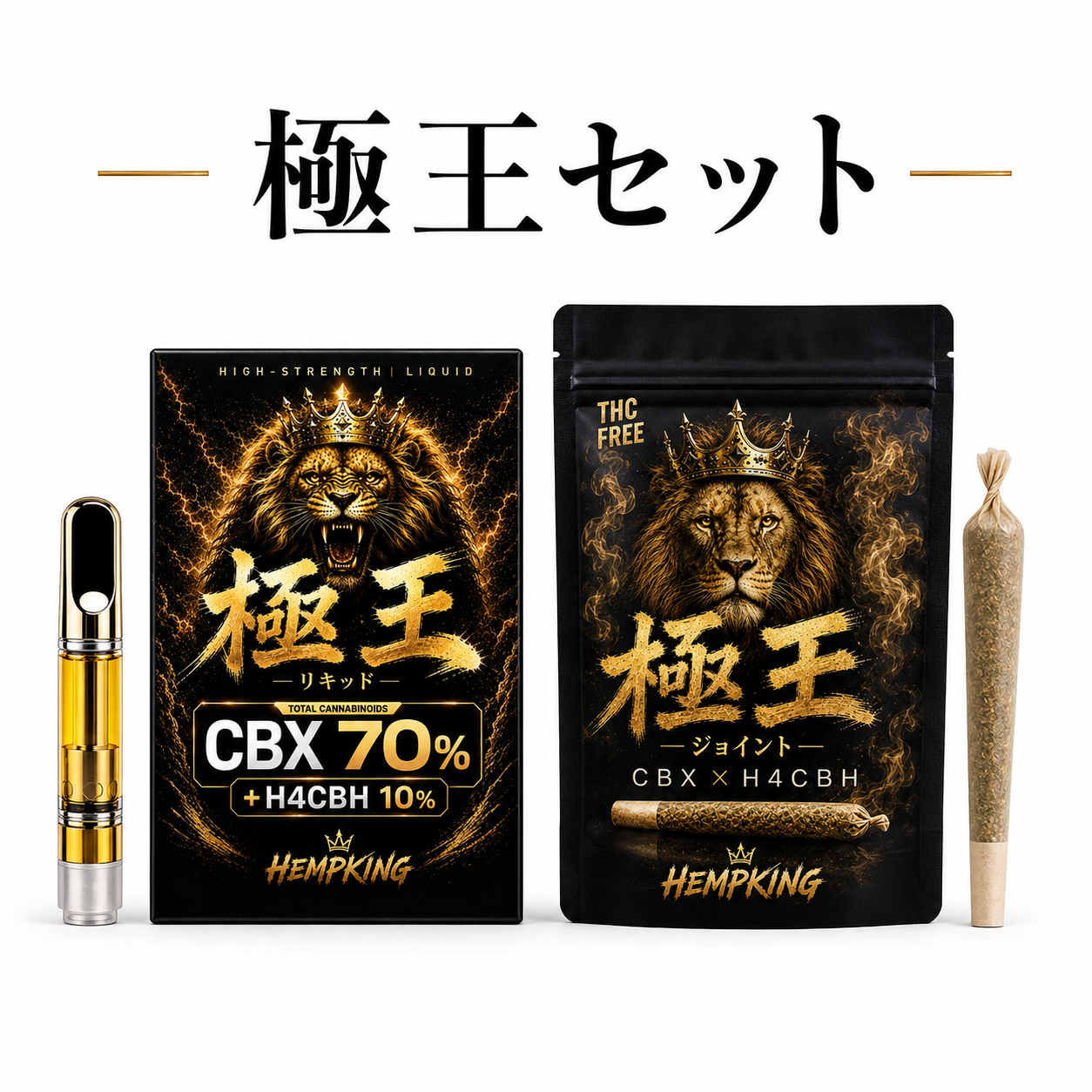 【極王リキッド &極王ジョイント セット】　・新基準対応